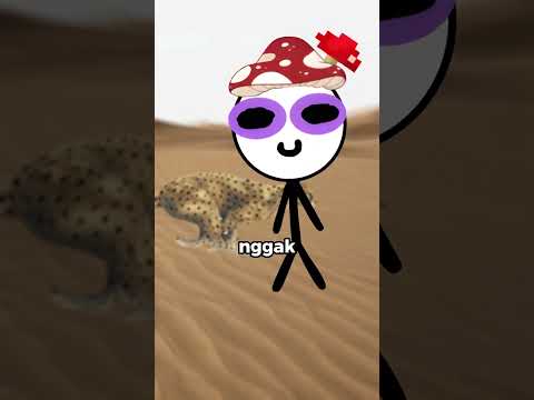 Giamanakah Bentuk Spesies Sempurna Di Bumi? thumbnail