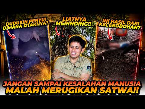 HARIMAU LEPAS DI TEMPAT SIRKUS?! KELAKUAN2 KONYOL MANUSIA KE SATWA BUAS!! thumbnail