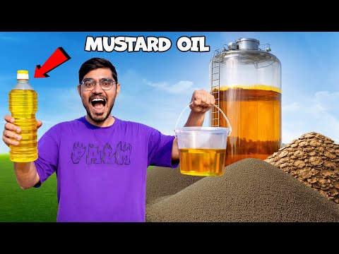 पैसा ही पैसा- How Much Oil From 100 Kg Mustard | 100 किलो सरसों में कितना तेल निकलेगा? thumbnail