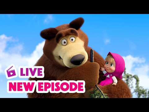 🔴 LIVE STREAM 🎬 Masha and the Bear 🆕 New Episode 🐶 Magic of Teleportation 🧙🪄 thumbnail