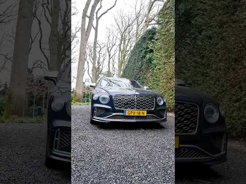 ??“HET MOET GEEN TURKSE TAXI WORDEN!!”? #stipt #stiptpolishpoint #fabrieksnieuw #bentley #fyp thumbnail