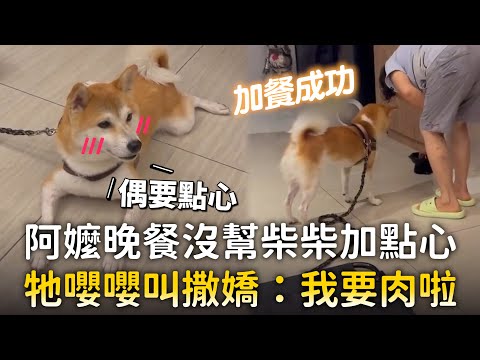 阿嬤晚餐沒幫柴柴加點心　牠嚶嚶叫撒嬌：我要肉啦 ｜#寵物雲 thumbnail