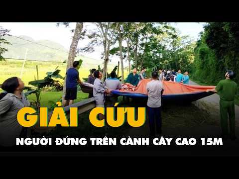 Căng bạt, rải rơm dày 'giải cứu' người đàn ông đứng chơi vơi trên cành cây cao 15m thumbnail