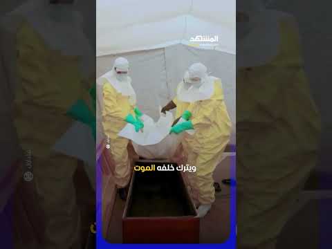 لحوم القرود تُشعل رعب إيبولا مجددا #اخبار_المشهد thumbnail
