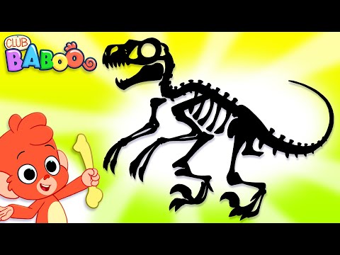 Baboo finds DINOSAUR BONES | Club Baboo Junior | Learn dinosaur names for kids | T-rex, Velociraptor thumbnail