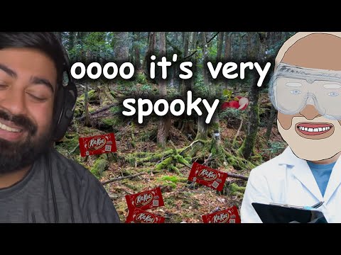 Exploring the Japanese Kitkat Forest [Old ITF] thumbnail