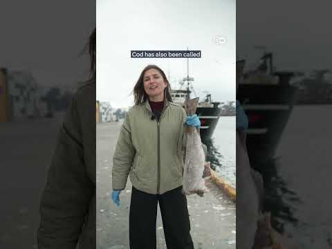 Hooked on cod: Why Norway’s collaboration with Russia is a security threat for Europe | DW News thumbnail