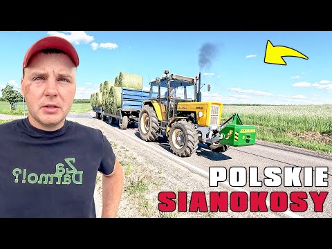 POLSKIE SIANOKOSY 2026 - URSUS Z PEŁNYMI PRZYCZEPAMI NA SZOSIE. thumbnail