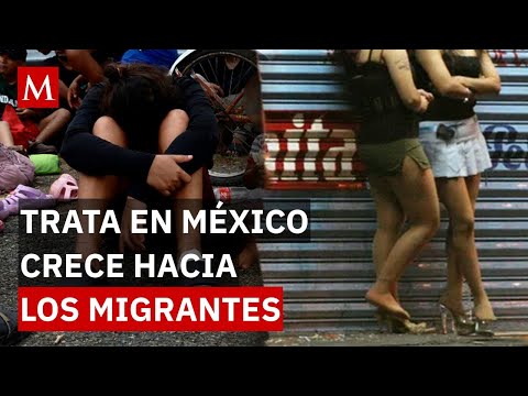 "Son internacionales": Así opera la presunta alianza entre la Unión Tepito y el Tren de Aragua thumbnail