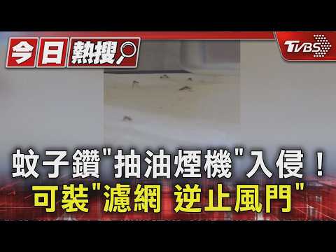 蚊子鑽「抽油煙機」入侵! 可裝「濾網.逆止風門」｜TVBS新聞 @TVBSNEWS01 thumbnail