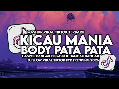 DJ KICAU MANIA X BODY PATA PATA SLOW VIRAL TIKTOK FULL SONG MAMAN FVNDY 2026 thumbnail