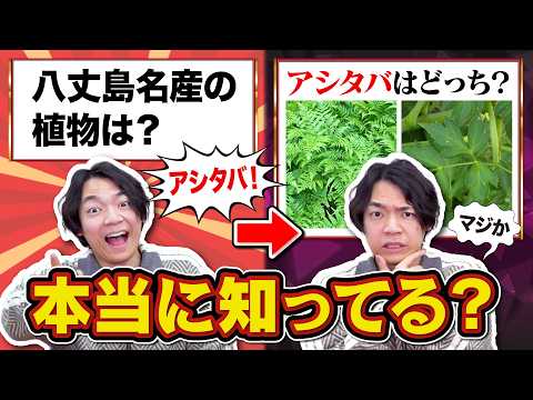 正解できたってことは見た目も知ってるってことでしょ？確かめていい？ thumbnail