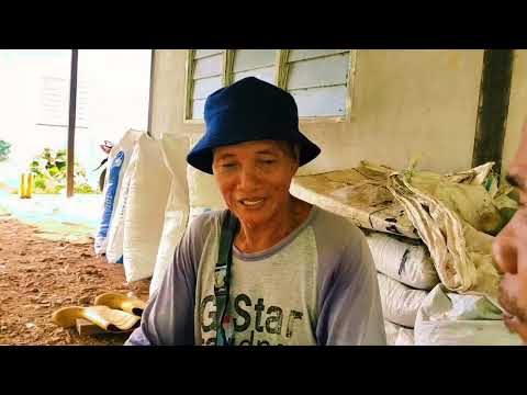 Crita Bidayuh(4 beradik) thumbnail