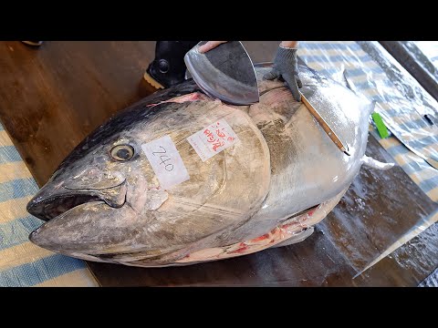Cutting Show! 4 Luxurious Bluefin Tuna Dishes You've Never Tried / 頂級金三角拼盤, 黑鮪魚創意料理 thumbnail