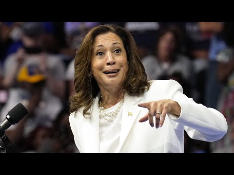 Democrats' 2024 autopsy report backfires horribly on Kamala Harris thumbnail
