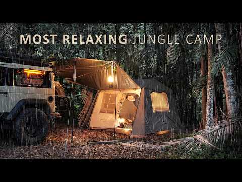Relaxing SOLO CAMP in the RAINY JUNGLE [ Australian Rain Forest cosy vibes, new tent, ASMR ] thumbnail