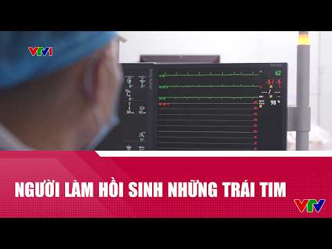 Người hồi sinh những trái tim | VTV24 thumbnail