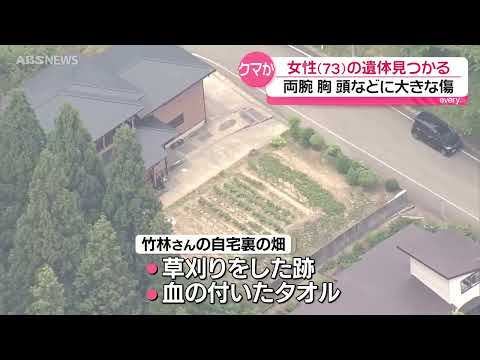【クマ被害】秋田市河辺で女性遺体 近くで１頭駆除 thumbnail