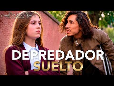 LA ROSA DE GUADALUPE | MEDIDAS DE SEGURIDAD | CAPÍTULO COMPLETO 2352 | PARTE 2 thumbnail