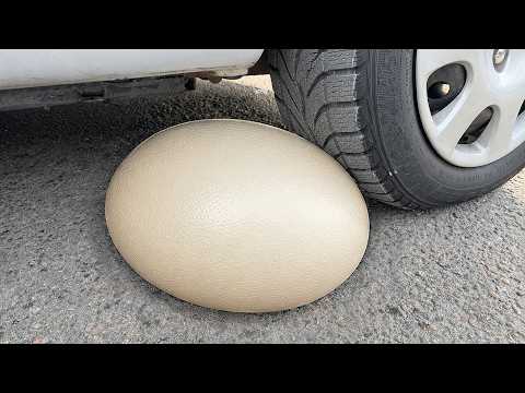 BIG EGG COCA COLA BALLOON VS CAR, Coca Cola Zero, PowerAde, Fanta, Sprite, Fruko and Mentos Diff Und thumbnail