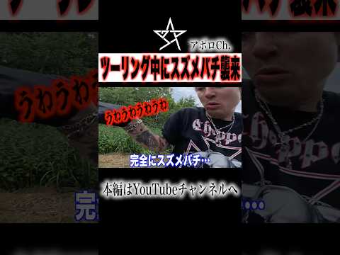 【危険】ツーリング中にスズメバチ襲来 thumbnail