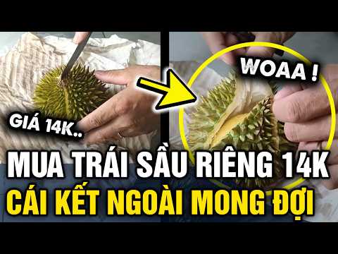 Mua TRÁI SẦU RIÊNG 14K về ăn đỡ ghiền và cái kết NGOÀI MONG ĐỢI | Tin 3 Phút thumbnail
