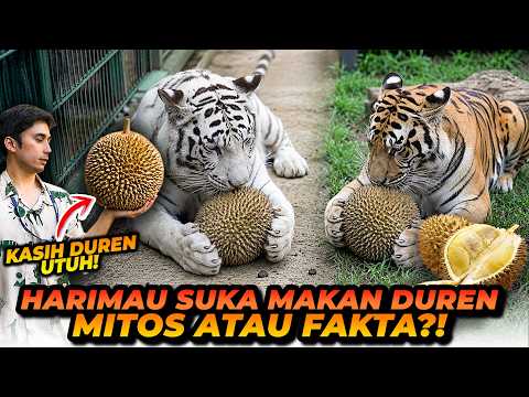 HARIMAU SUKA DUREN? TEONA SELEN CICIP DUREN PERTAMA KALI TAPI HASILNYA… thumbnail