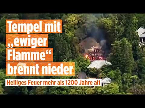 JAPAN: Tempel mit 1200 Jahre alter „ewigen Flamme“ brennt komplett aus – Feuer-Drama in Miyajima! thumbnail