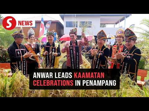 PM Anwar joins Sabah Kaamatan celebration of unity, heritage and harvest thumbnail