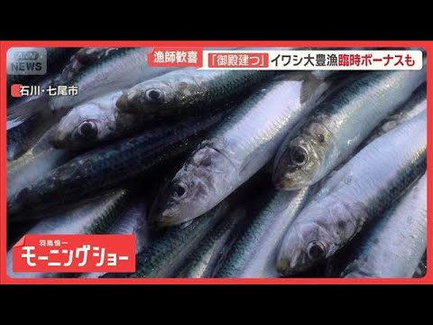 イワシやマグロが異例の豊漁　ウナギ値下げ…2年連続の稚魚豊漁　水産業に相次ぐ異変【羽鳥慎一モーニングショー】(2026年5月29日) thumbnail