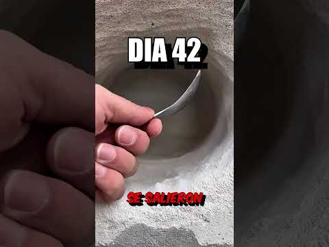 1 Cuchara vs Pared thumbnail