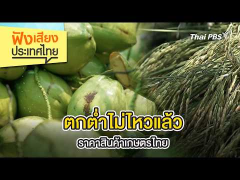 ? [Live] ตกต่ำไม่ไหวแล้ว ราคาสินค้าเกษตรไทย | ฟังเสียงประเทศไทย | 16 พ.ค. 69 thumbnail