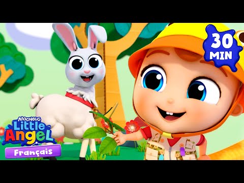 Des animaux rigolos | Comptines avec Bébé Louis | Little Angel Français thumbnail