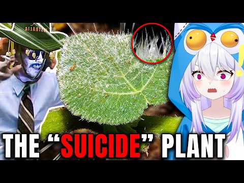 Nature is TRYING to KILL You! Vtuber Reacts to More MoreParz! thumbnail