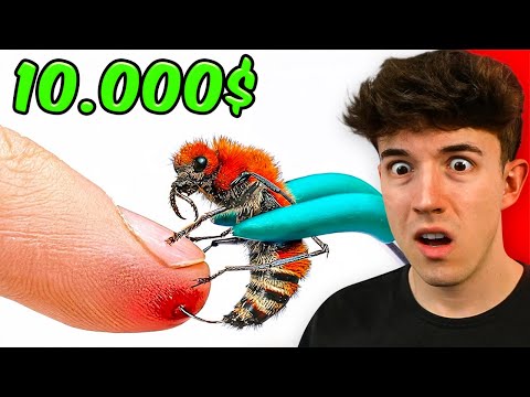 PICADO POR UNA HORMIGA BALA POR 10.000$ | REACCION thumbnail