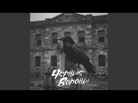 Чёрные вороны thumbnail