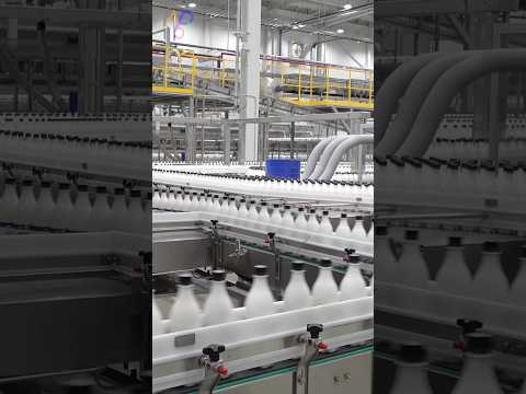 Mass Production Plant in Korea that Produces 3 Million Bottles of Makgeolli a Month thumbnail