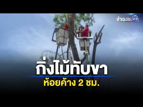 กิ่งไม้ทับขา ห้อยค้าง 2 ชม. | ตลาดข่าว - ข่าวเช้าเวิร์คพอยท์ | 30 พ.ค. 69 thumbnail