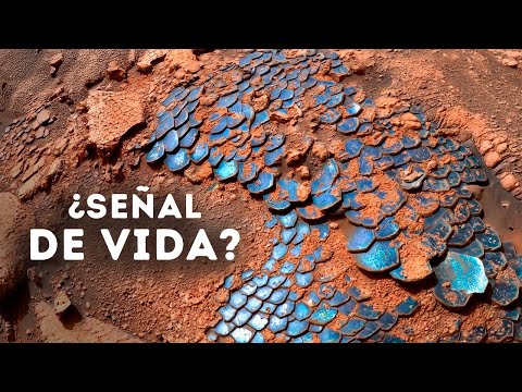 La NASA encontró algo que parece un reptil gigante en Marte thumbnail