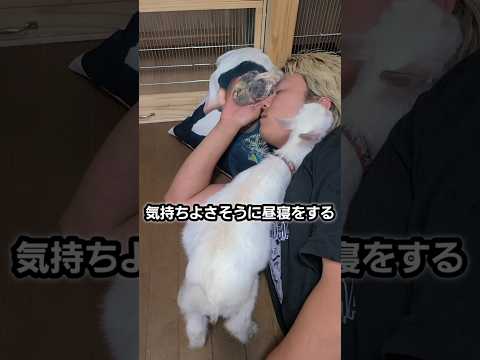 AIっぽい喋り方でアテレコすればどんな動画も感動する説 thumbnail