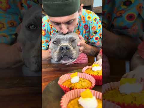 Cupcake de Banana e Aveia com Creme de Ricota de Búfala e Manga 🥰🐾 thumbnail