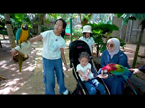 Keysha & Sheena Liburan Ke Ancol - Aracelli Kasih Makan Burung Dan Melihat Ikan Besar thumbnail