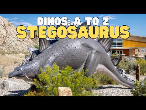 Dinos A to Z: Stegosaurus | Learn fun facts about this spiky dinosaur thumbnail