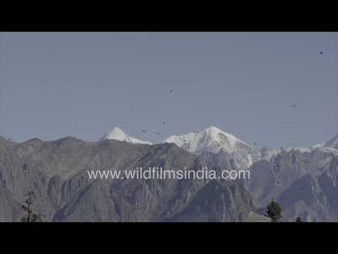 The rugged beauty of Jaonli Peak in the Indian Himalaya thumbnail