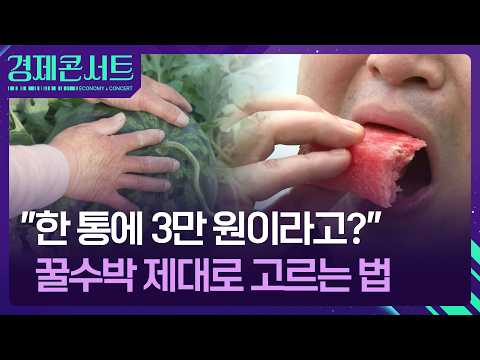 “수박 한 통에 3만 원?”…금수박 제대로 고르는 법 [경제콘서트] / KBS  2026.05.20. thumbnail