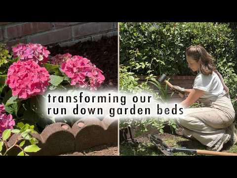transforming our run down garden beds *before & after* | MaCenna Lee thumbnail