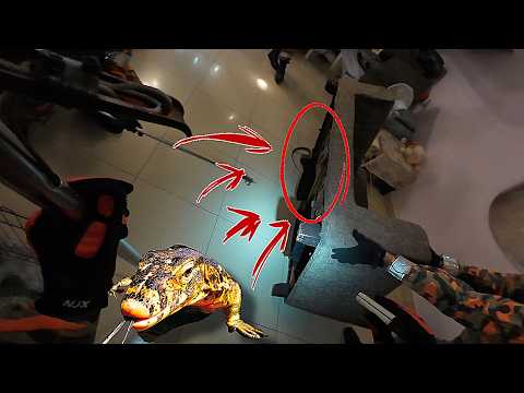 💢SAYA INGATKAN BUAYA😨-IJAT CELORENG- thumbnail