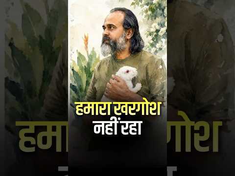 हमारा खरग़ोश नहीं रहा || आचार्य प्रशांत thumbnail