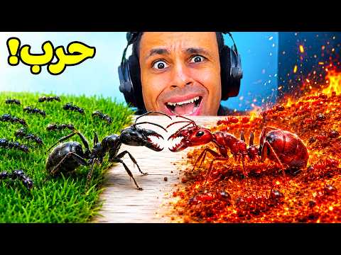 بناء مستعمرة النمل | Pocket Ants: Colony Simulator !! 🐜🕳️ thumbnail