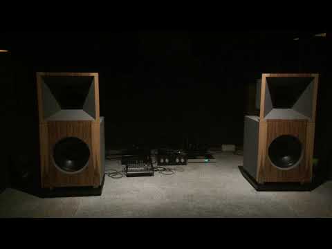 David vs. Goliath - GECKO® EXODUS ATOM MXR 808A Driving TOBIAN MONITOR 18FH 18” Hornloaded Speakers thumbnail